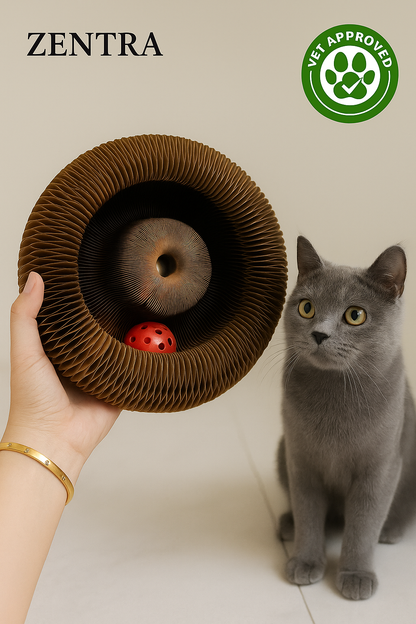 Zentra® - Kat Kurl Cat Toy Scratcher