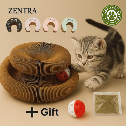 Zentra® - Kat Kurl Cat Toy Scratcher