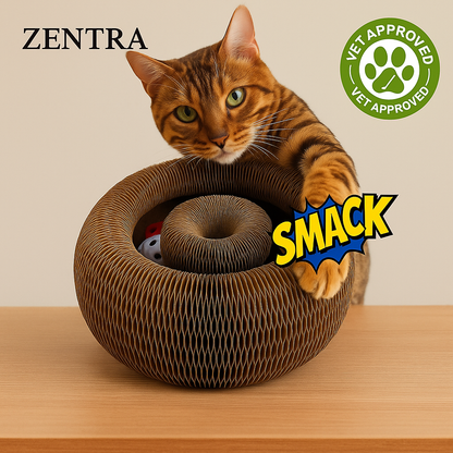Zentra® - Kat Kurl Cat Toy Scratcher